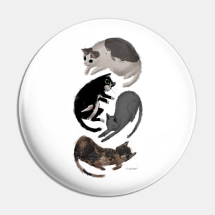 kitties Pin