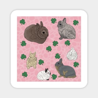 Netherland Dwarf Rabbits Pink Magnet