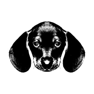 dachshund / sausage dog / head T-Shirt