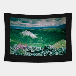 Taiga mountain wilderness Yukon Territory Canada Tapestry