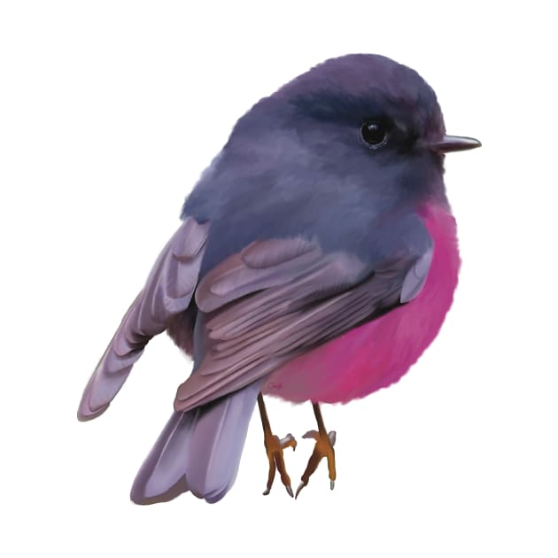 Fat, fluffy Pink Robin, absolutely gorgeous little Australian bird. by PlumpPlumStudio