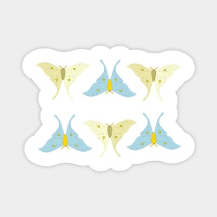 Luna Moth Magnet