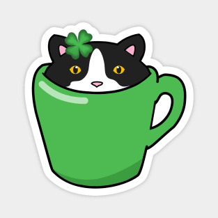 St Patrick's day cat Magnet