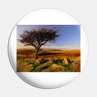 Hawthorn Tree, Two Moors Way Pin