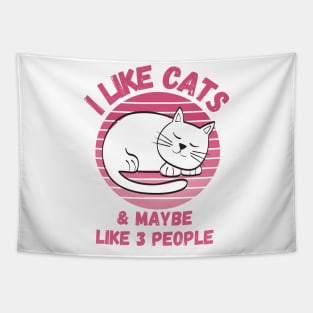 I Like Cats and Maybe 3 People Funny Cat Lover Design Tapestry