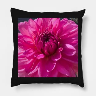 Radiant Pink Dahlia Flower Pillow