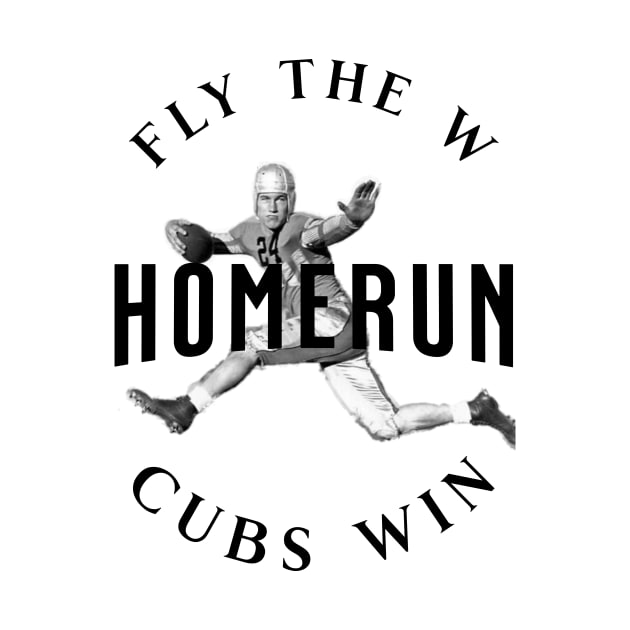 HOMERUN CUBS WIN by ryanmpete