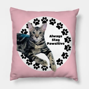 Always Stay Positive Grey Cat Pillow