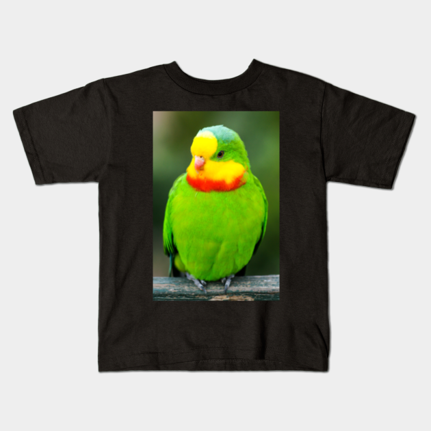 Superb Parrot - Parrot - Kids T-Shirt | TeePublic