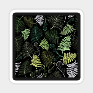 Green fern leaves on black background Magnet