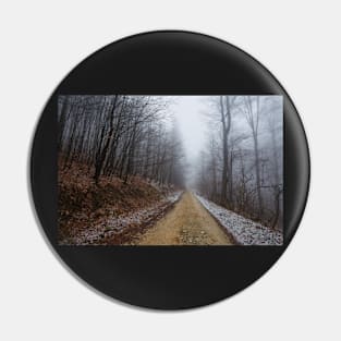 Foggy road in the forest Pin