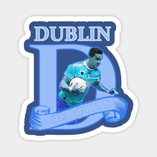 Dubs all Ireland Champions Magnet