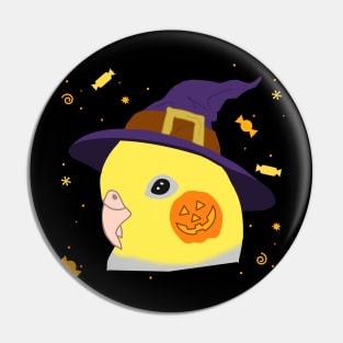 witch cockatiel doodle Pin