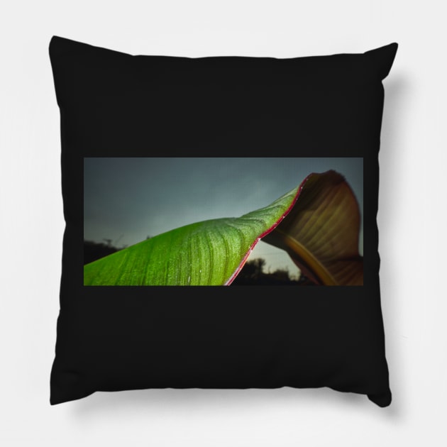 Red Banana Leaf Pillow by richard49