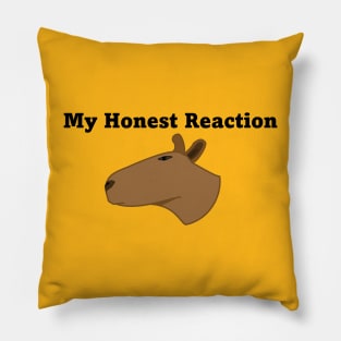 My honest reaction Pillow