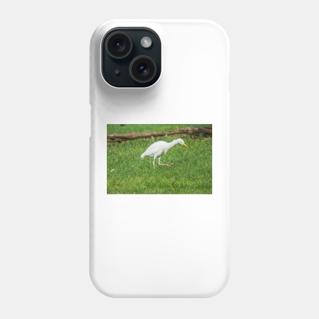 Walking Cattle Egret Phone Case by KensLensDesigns