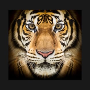 Siberian Tiger T-Shirt