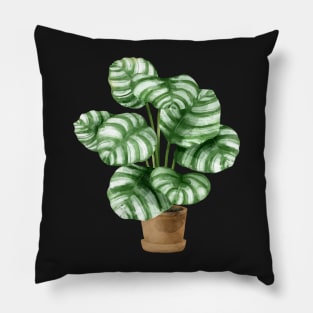 Calathea Orbifolia Plant Pillow