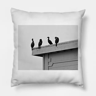 Monterey Quartet Pillow