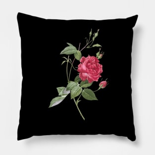 Blood-Red Bengal Rose Pillow