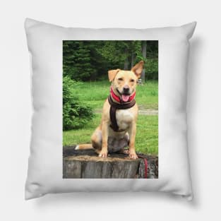 Yelena Pillow