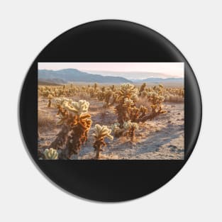 Cholla Garden Pin