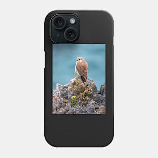 Nankeen Kestrel, Australian Bird Of Prey Phone Case