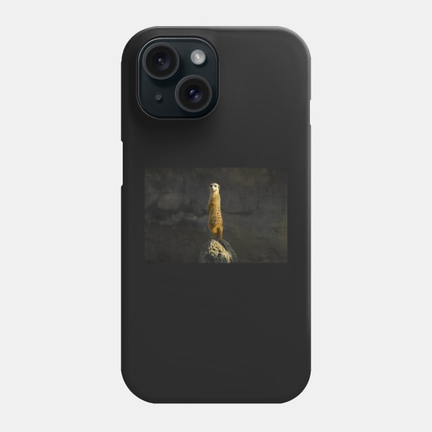 Alert Phone Case by dltphoto