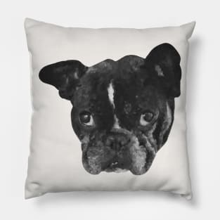 Boston Terrier Dog Painting Pillow