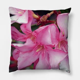 Pink flowers Pillow