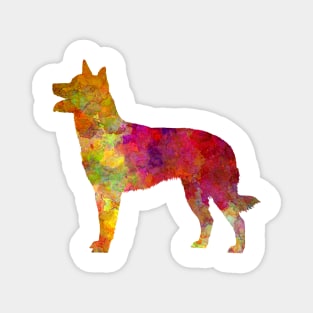 Australian Kelpie in watercolor Magnet