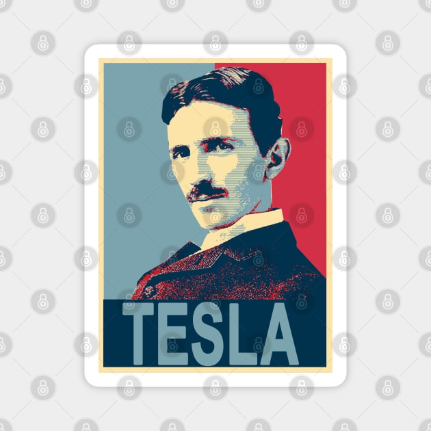 tesla Magnet by joyTrends