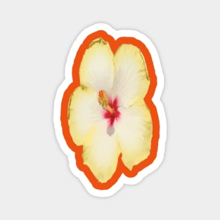 Yellow Hibiscus Flower Vector Magnet