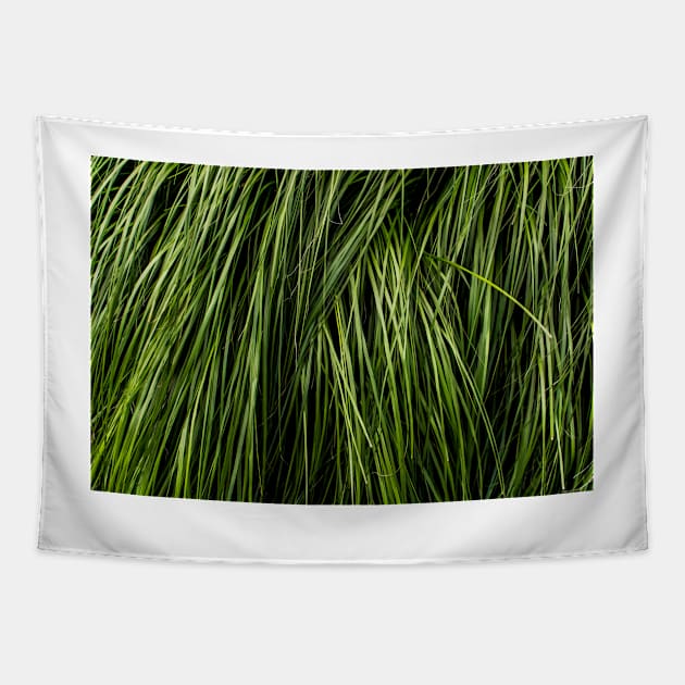 Tall Grass Tapestry by arc1