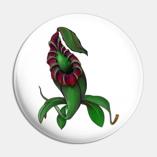 Botanical Nepenthes Pitcher Plant Carnivorous Plant Gift Idea Pin