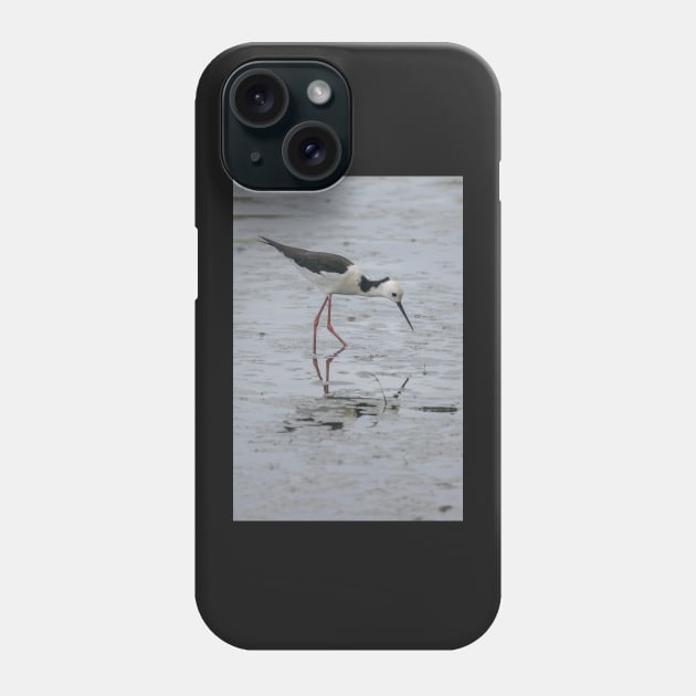 Black-winged Stilt 01 Phone Case by fotoWerner