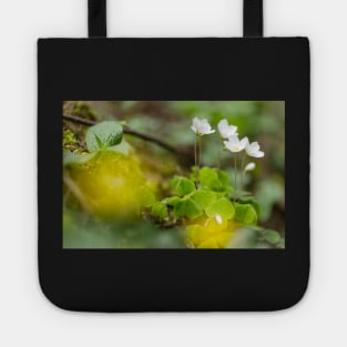 white clover in the forest Tote