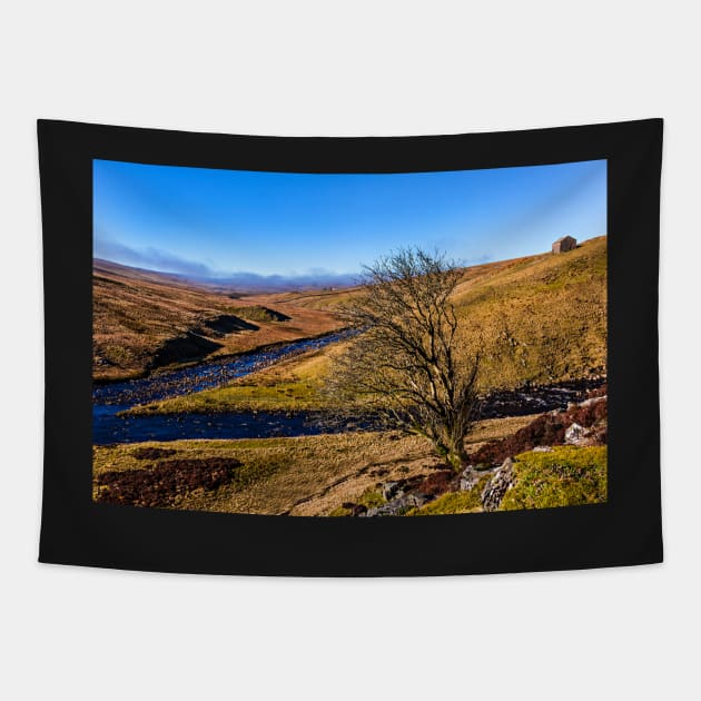 Maize Beck Upper Teesdale Tapestry by Reg-K-Atkinson