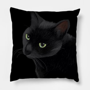 Cool Black Cat Pillow