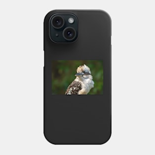 Laughing Kookaburra Portrait, Maleny Queensland Phone Case