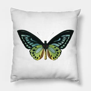 butterfly Pillow