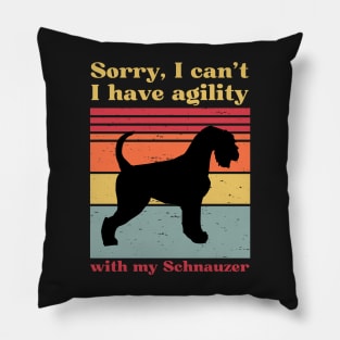 Sorry I can't, I have agility with my Schnauzer Pillow