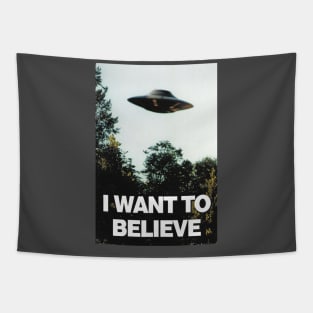 I Want To Believe Tapestry