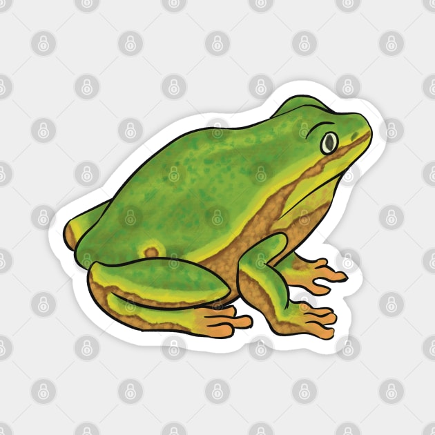 Green Tree Frog Magnet by danyellysdoodles