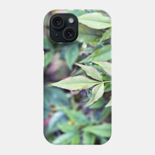 Leaves in Spring Phone Case