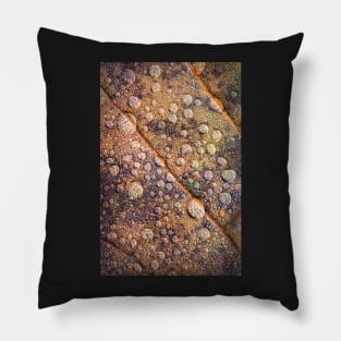 Oak Leaf Close-up with Water Droplets Pillow