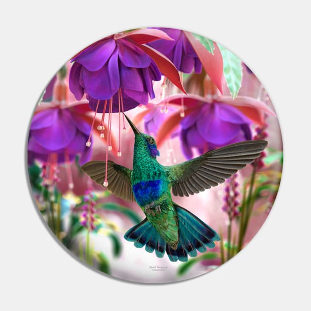 Hummingbird Pin by David Penfound Artworks
