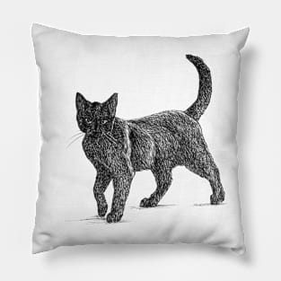 Cat scientific nature black ink pen drawing illustration Pillow