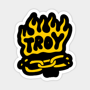 Troy.Co Magnet