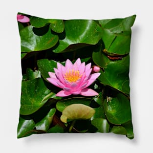 Lotus Flower Pillow